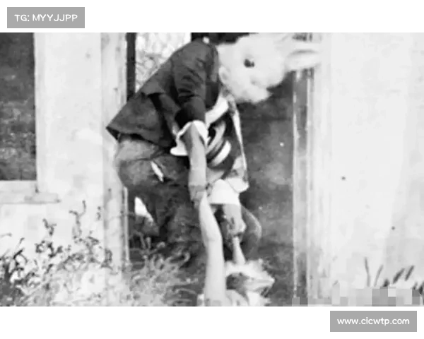 暗月岛兔子四大传说揭密:神秘背后的历史与真相 暗月岛兔子四大传说揭密:神秘背后的历史与真相